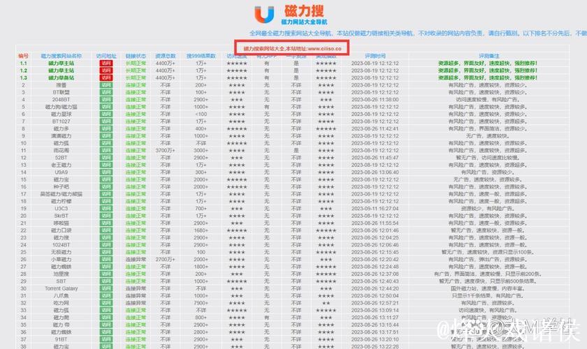 热门磁力链接搜索网站推荐与使用指南 热门磁力链接搜索网站推荐与使用指南