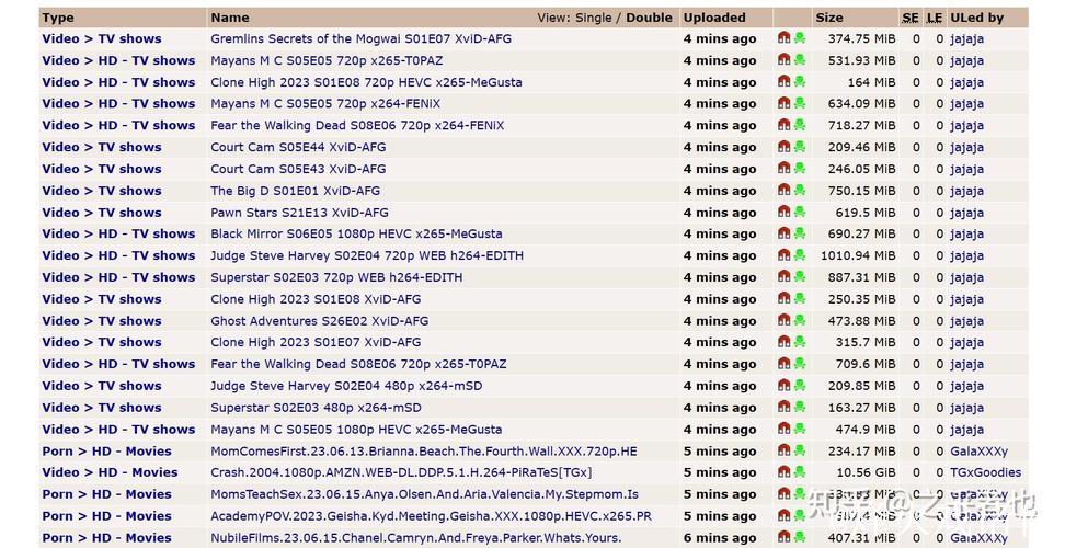 热门磁力链接搜索网站推荐与使用指南 热门磁力链接搜索网站推荐与使用指南