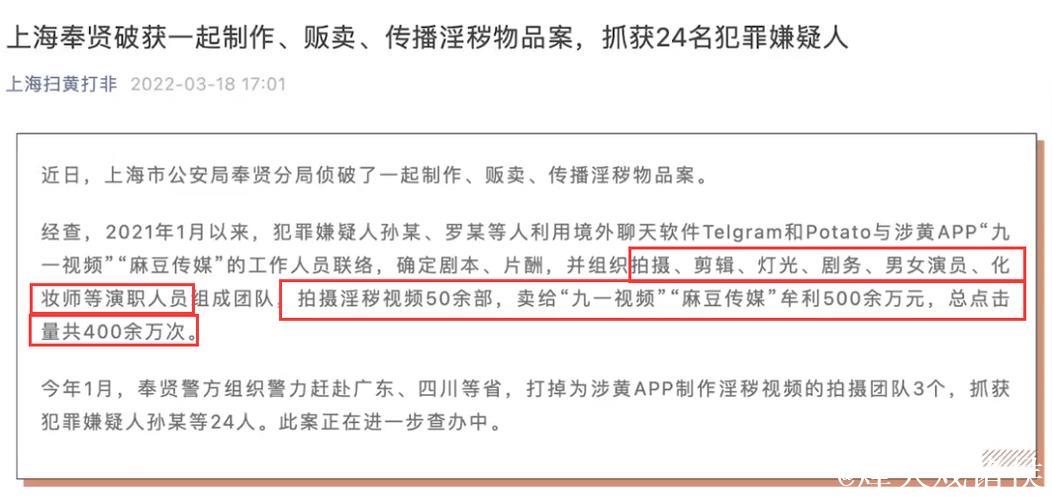 揭密麻豆传媒背后的污点真相 揭密麻豆传媒背后的污点真相